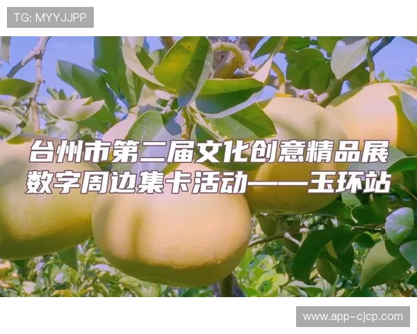 数字纪念品替代实体周边减少资源消耗