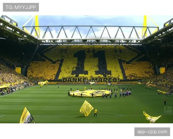 纪录片《威斯特法伦的90分钟》上映,聚焦多特蒙德南看台文化